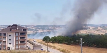 Bursa’da korkutan anız yangını