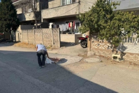 Tartıştığı babasını pompalı tüfekle vurarak ağır yaraladı