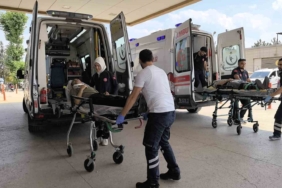 Ağaca çarpan otomobildeki 2 kişi yaralandı