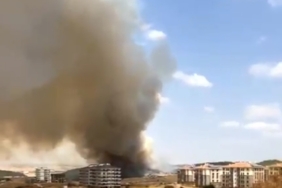 Keşan’da ağaçlık alanda çıkan yangın rüzgarla büyüyor