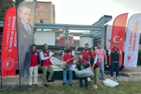 Çanakkale’de baraj ve göletlere 2 milyon aynalı sazan yavrusu bırakıldı
