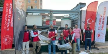 Çanakkale’de baraj ve göletlere 2 milyon aynalı sazan yavrusu bırakıldı