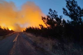 Bayramiç’teki yangını söndürme çalışmaları aralıksız sürüyor