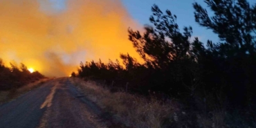 Bayramiç’teki yangını söndürme çalışmaları aralıksız sürüyor