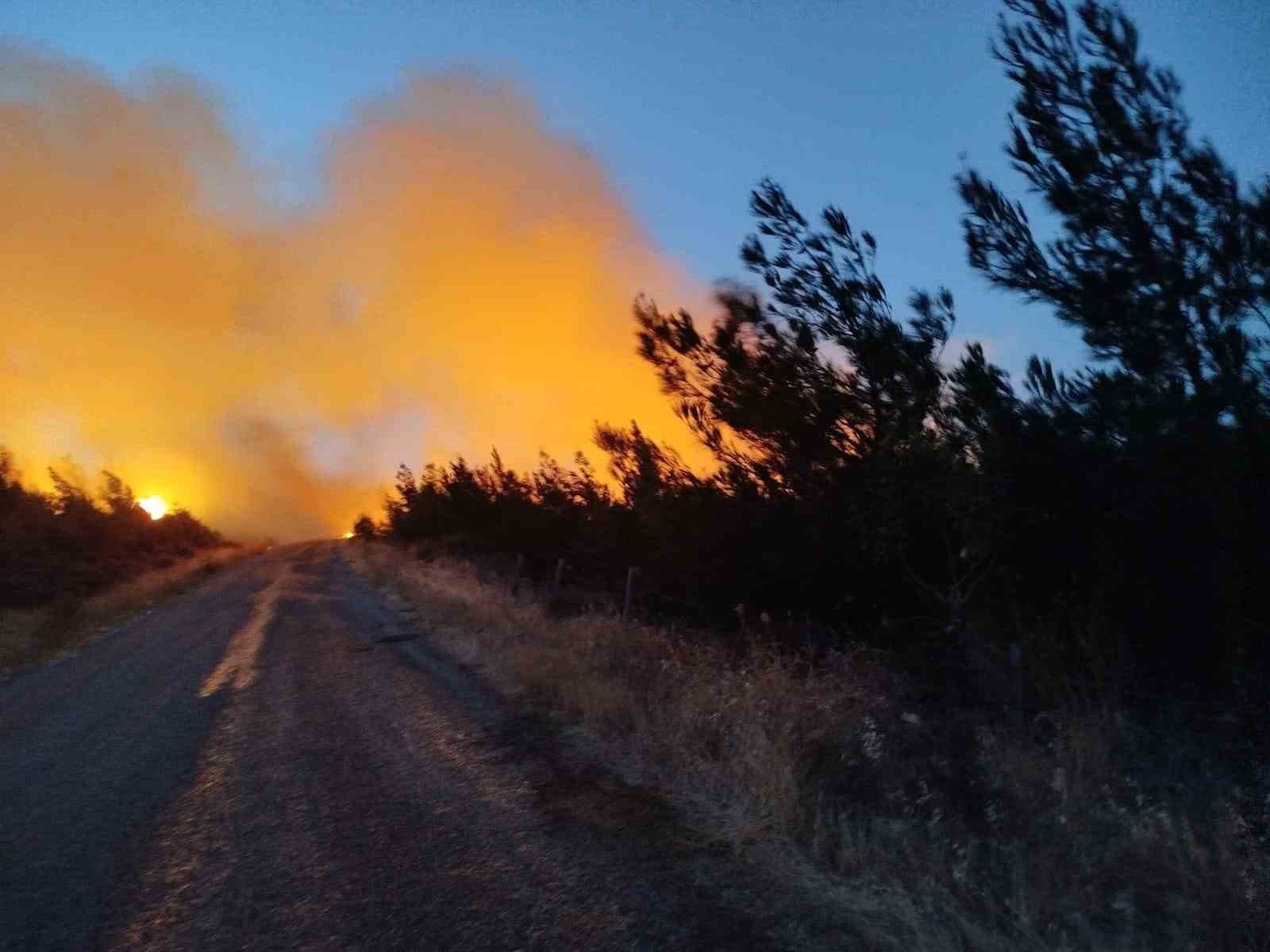 Bayramiç’teki yangını söndürme çalışmaları aralıksız sürüyor