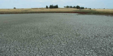 Aşırı sıcaklarda suları çekilen göletlerde balıklar yaşam mücadelesi veriyor