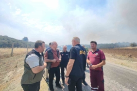 Afetlere Müdahale Genel Müdürü Ergin, tedbiren tahliye edilen köylerde incelemelerde bulundu