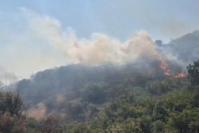 Balıkesir’de otluk ve makilik alanda çıkan yangın kontrol altına alındı