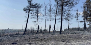 Gelibolu’da çıkan orman yangını tamamen kontrol altına alındı