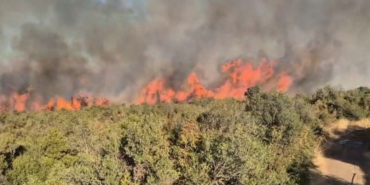 Balıkesir’deki orman yangınına müdahale sürüyor