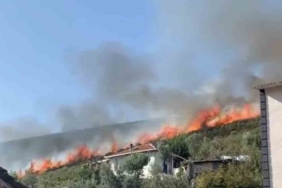 Bursa’da orman yangını...