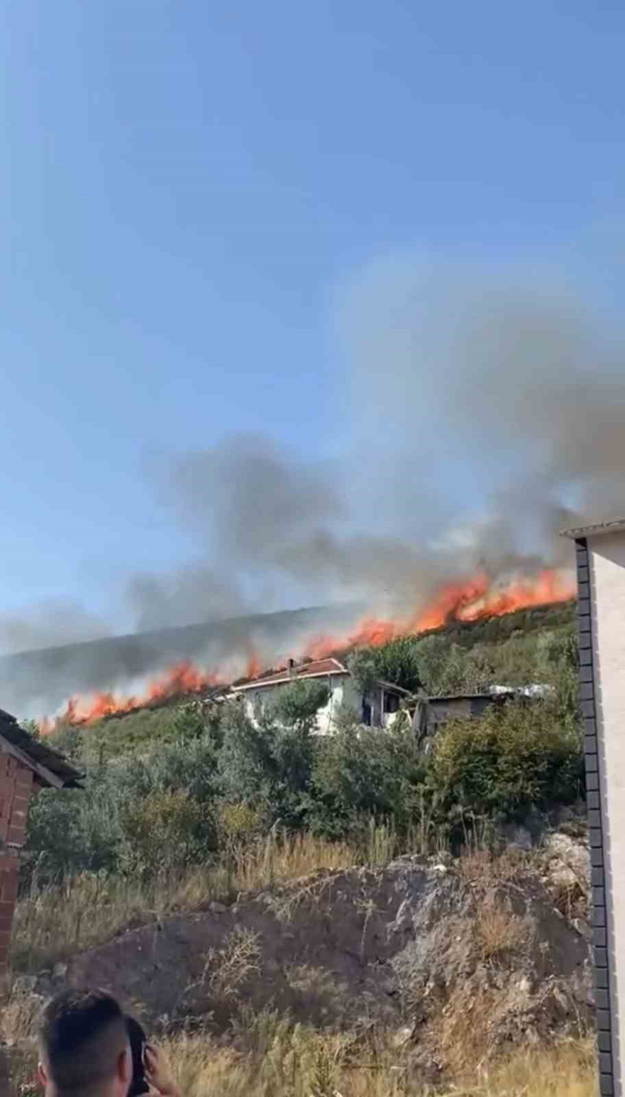 Bursa’da orman yangını...