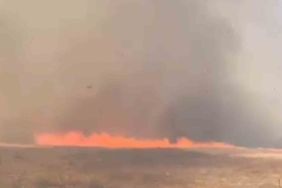 Tekirdağ’da alevler tarla ve ormanı sardı: 10 ev boşaltıldı