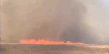 Tekirdağ’da alevler tarla ve ormanı sardı: 10 ev boşaltıldı