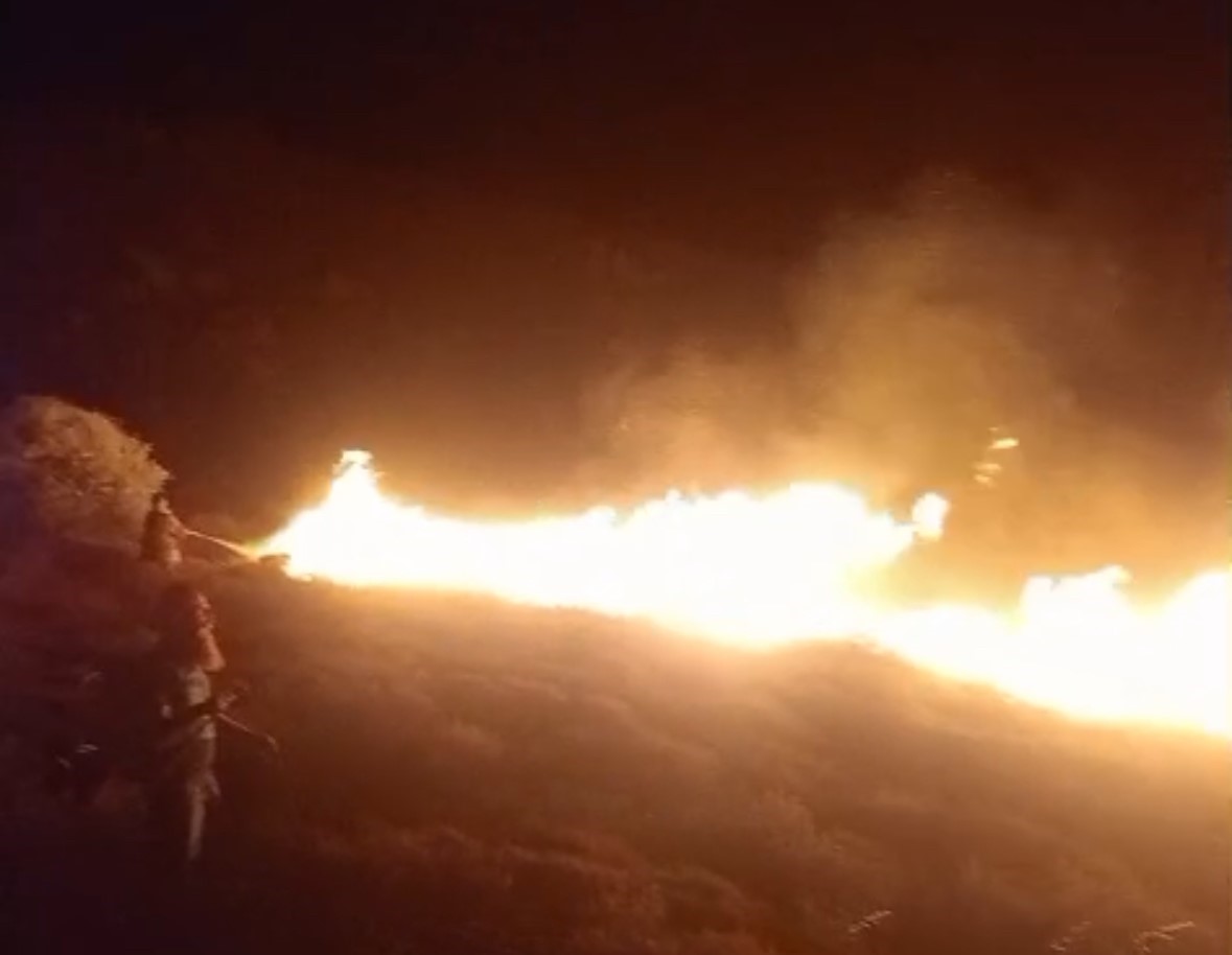 Avşa Adası’nda çıkan arazi yangını kontrol altına alındı