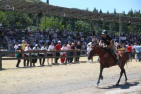 Rahvan at yarışları heyecanında sıra Gölcük koşusunda