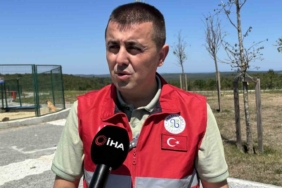 İstanbul Valiliği’nin talimatı sonrası Arnavutköy’de sahipsiz hayvanlar toplanmaya başlandı