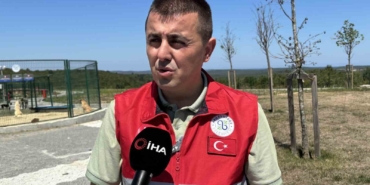 İstanbul Valiliği’nin talimatı sonrası Arnavutköy’de sahipsiz hayvanlar toplanmaya başlandı