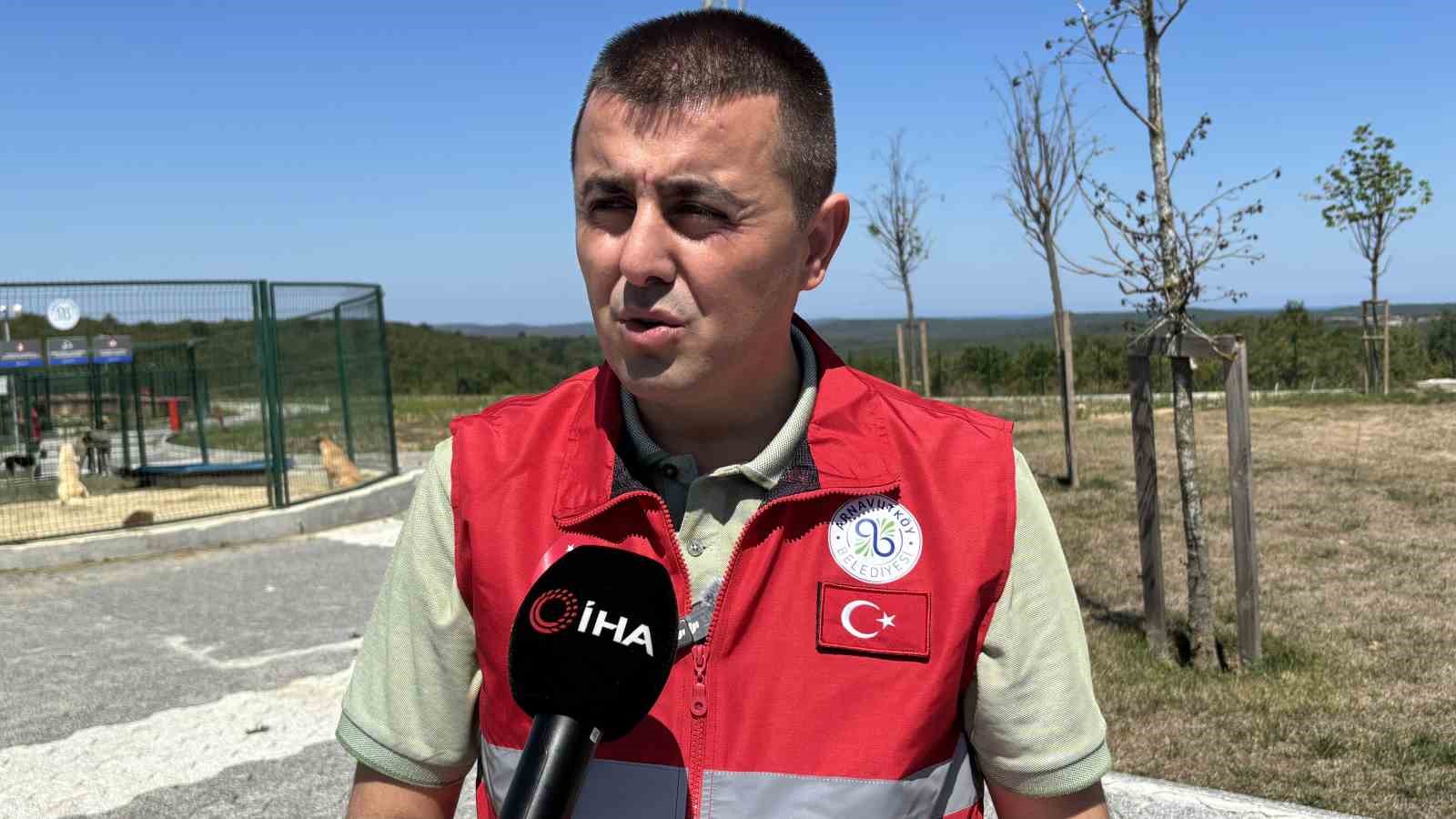 İstanbul Valiliği’nin talimatı sonrası Arnavutköy’de sahipsiz hayvanlar toplanmaya başlandı