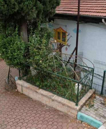 Osmanlı’nın önemli aliminin kabri, yalnızlığa terk edildi