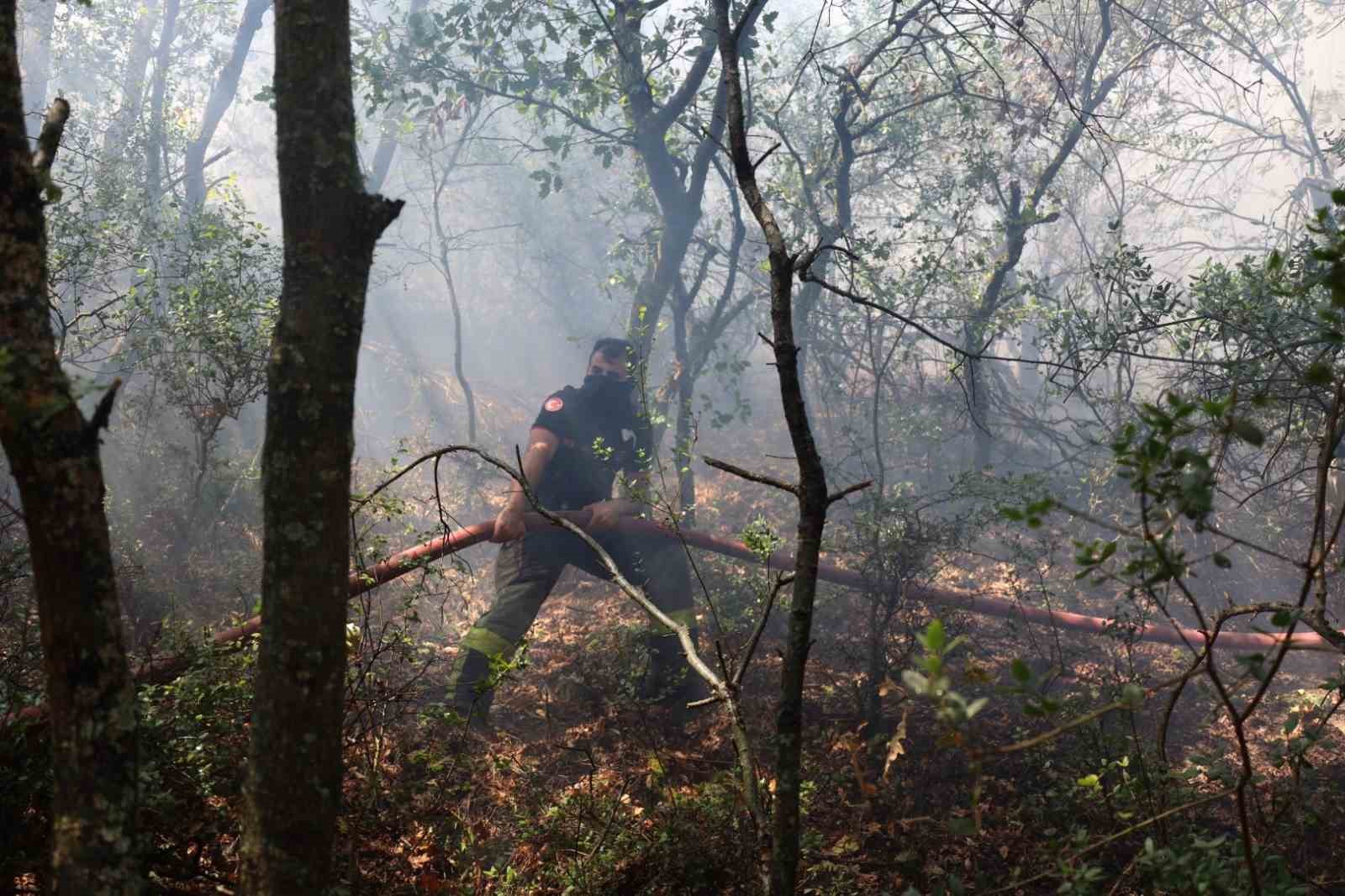 Karamürsel yangını için seferberlik ilan edildi