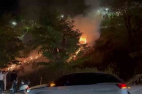 Eğlence için yakılan meşale yangın çıkardı