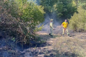 Kırklareli’de orman yangını