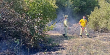 Kırklareli’de orman yangını
