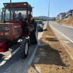 Söğüt’te refüjler ve yeşil alanlar yenileniyor