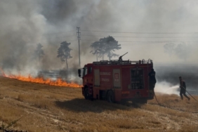 Kırlareli’nde çıkan anız yangında 3 ev zarar gördü