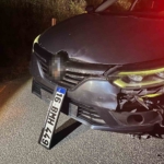 Bursa’da ayı ile çarpışan araç pert oldu, ayı telef oldu