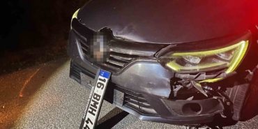 Bursa’da ayı ile çarpışan araç pert oldu, ayı telef oldu