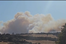 Gelibolu’da orman yangınına havadan ve karadan müdahale ediliyor