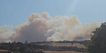 Gelibolu’da orman yangınına havadan ve karadan müdahale ediliyor