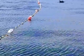 Caddebostan’da yunuslarla vatandaşın yüzme keyfi kamerada