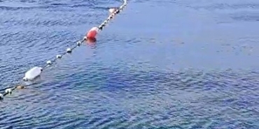 Caddebostan’da yunuslarla vatandaşın yüzme keyfi kamerada