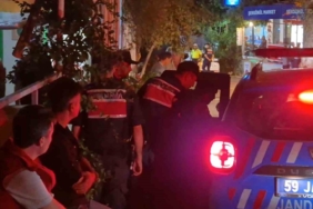 Tekirdağ’da orman yangınına neden olduğu iddia edilen 1 şüpheli gözaltına alındı