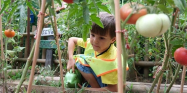 Lokomotif Çocuk Köyü’nde hasat zamanı