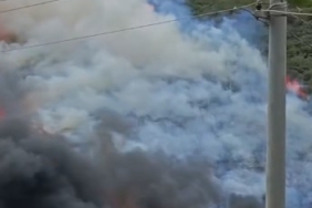 Kocaeli’de ağaçlık alanda yangın çıktı