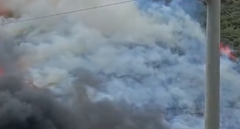 Kocaeli’de ağaçlık alanda yangın çıktı