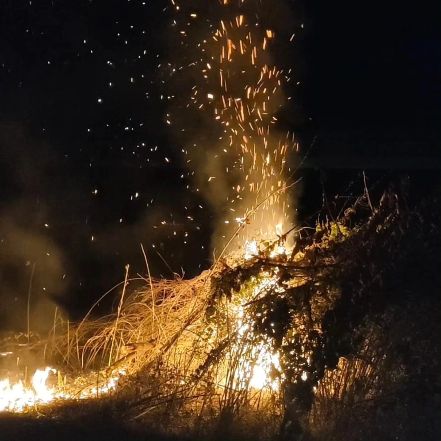 Bayırköy’de anız yangını yayılmadan söndürüldü