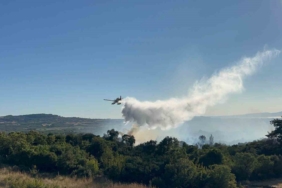 Çanakkale’de tarım arazisinde başlayarak ormanlık alana sıçrayan yangın kontrol altına alındı