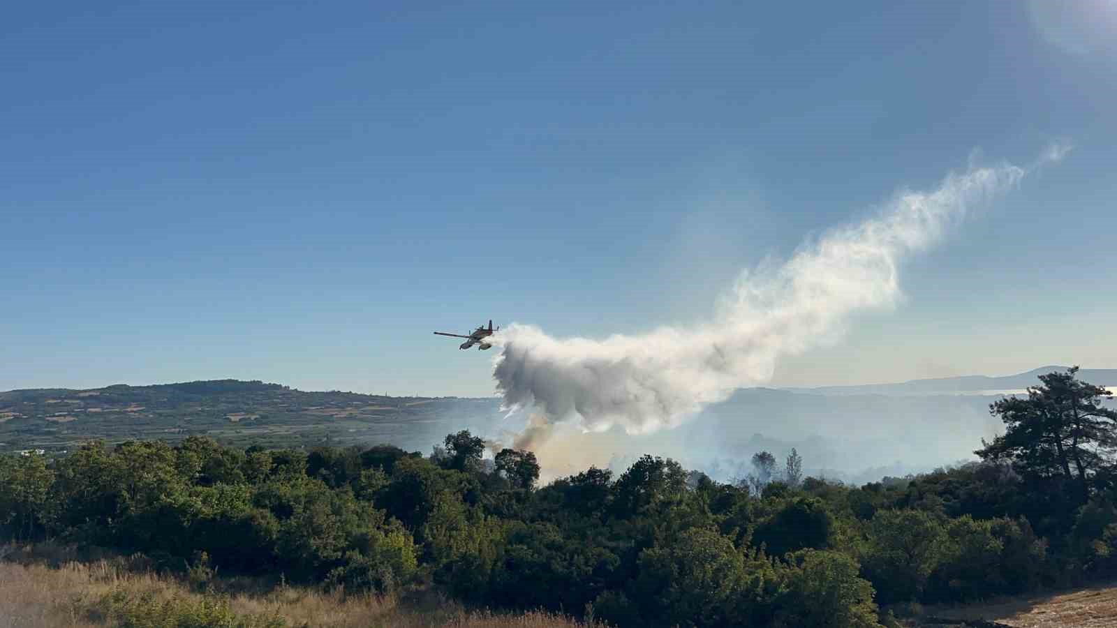 Çanakkale’de tarım arazisinde başlayarak ormanlık alana sıçrayan yangın kontrol altına alındı