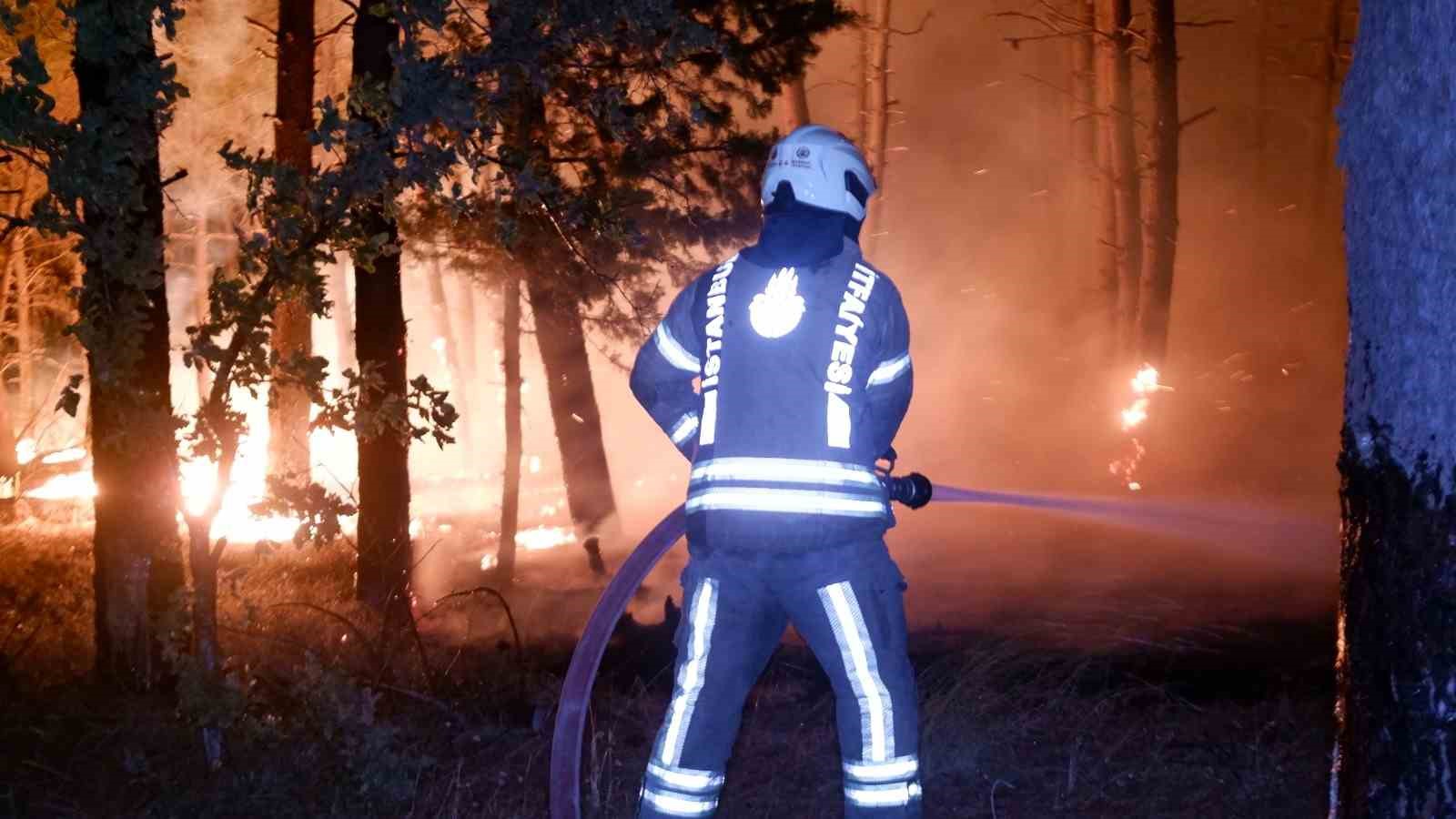 Edirne’de orman yangını: Köyler tahliye ediliyor