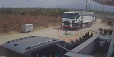 Oyun oynarken yola fırlayan iki köpek çöp kamyonunun altında kaldı