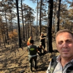 Sakarya’da yanan ormanlık alanlar tekrar hayata dönüyor