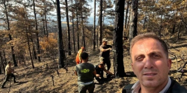 Sakarya’da yanan ormanlık alanlar tekrar haya dönüyor