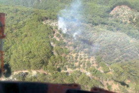 Kazdağları Milli Parkı’nda çıkan yangın kısa sürede söndürüldü