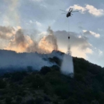 Tekirdağ’da orman yangınına müdahale sürüyor