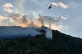 Tekirdağ’da orman yangınına müdahale sürüyor